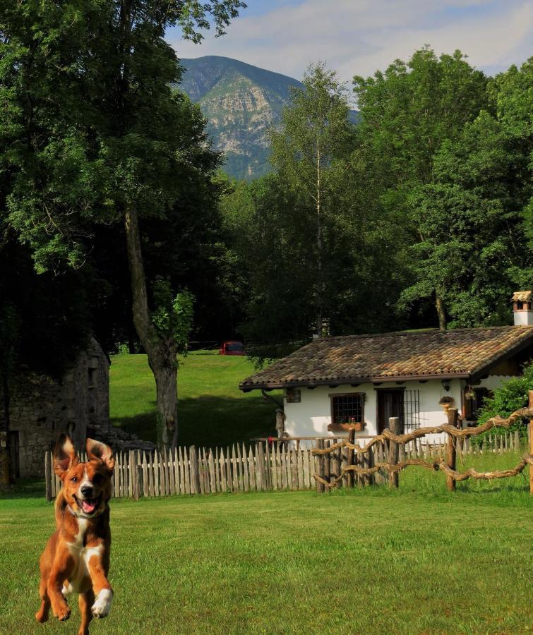 Baita Tana Da L'Ors Forgaria nel Friuli Экстерьер фото