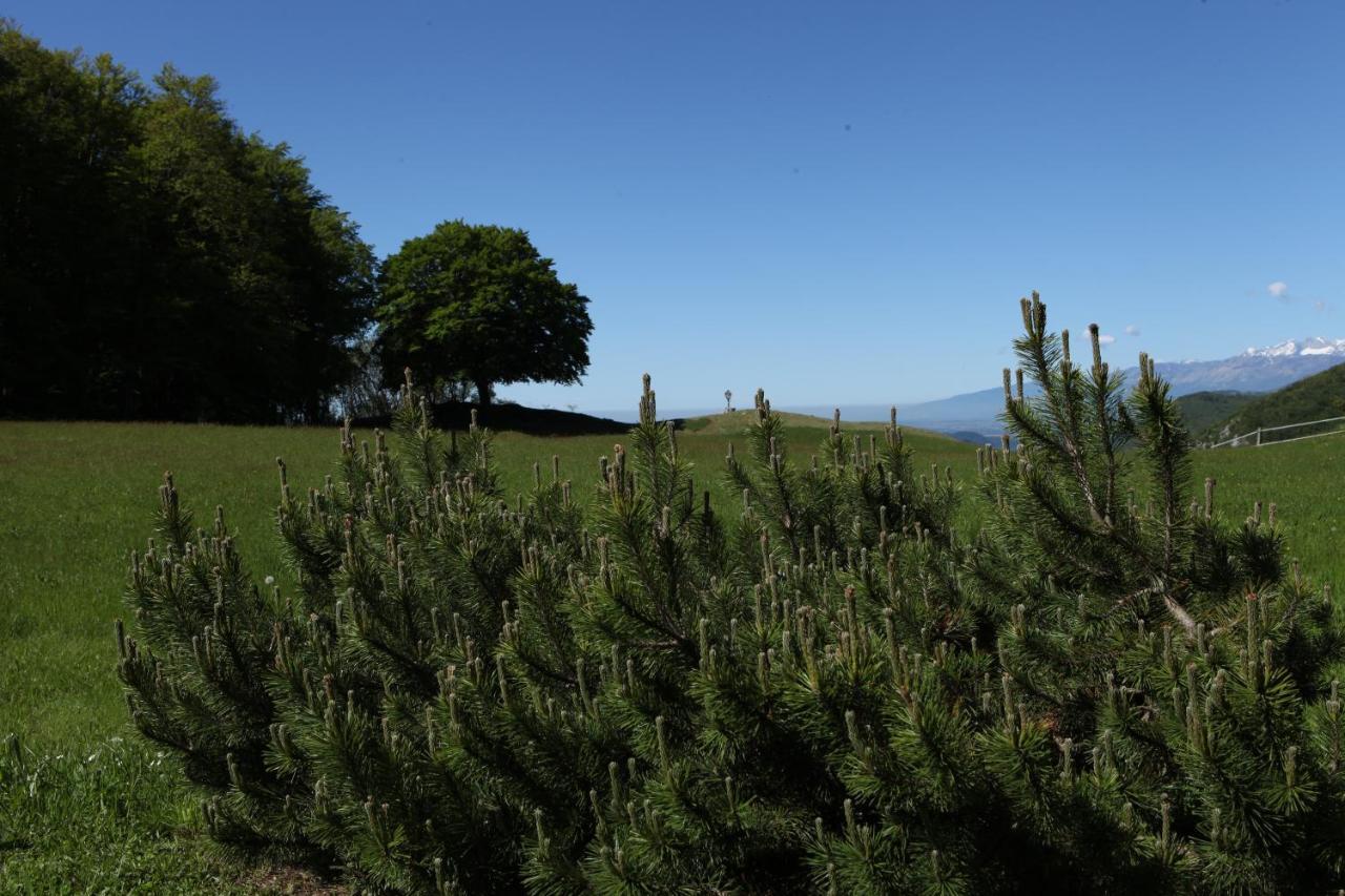 Baita Tana Da L'Ors Forgaria nel Friuli Экстерьер фото
